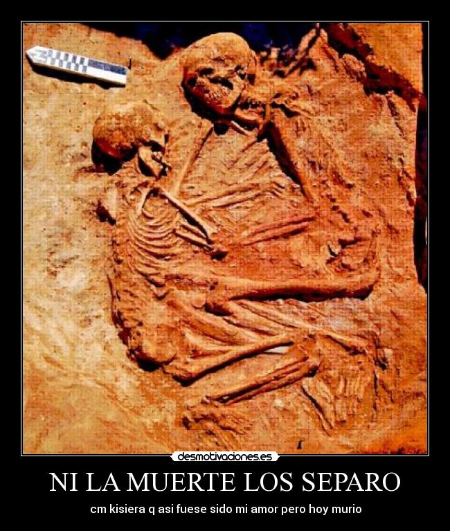 NI LA MUERTE LOS SEPARO - 