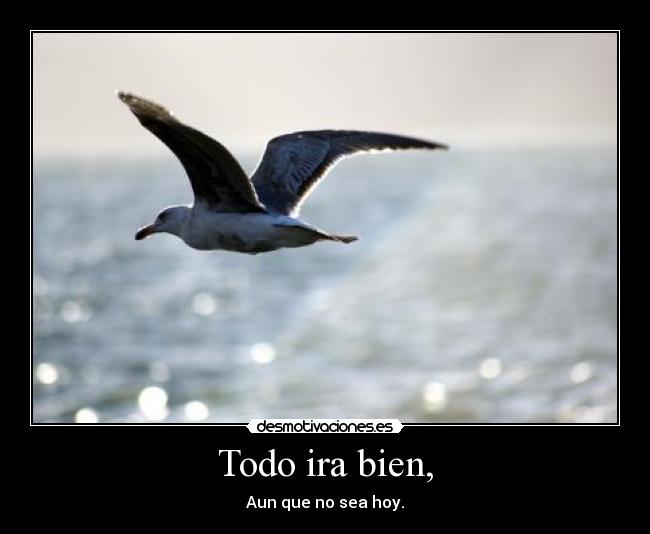 Todo ira bien, - Aun que no sea hoy.