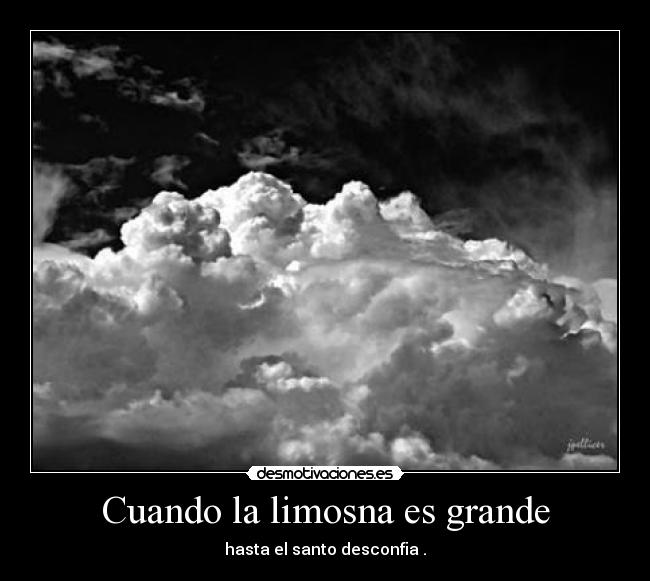 musicos musicos