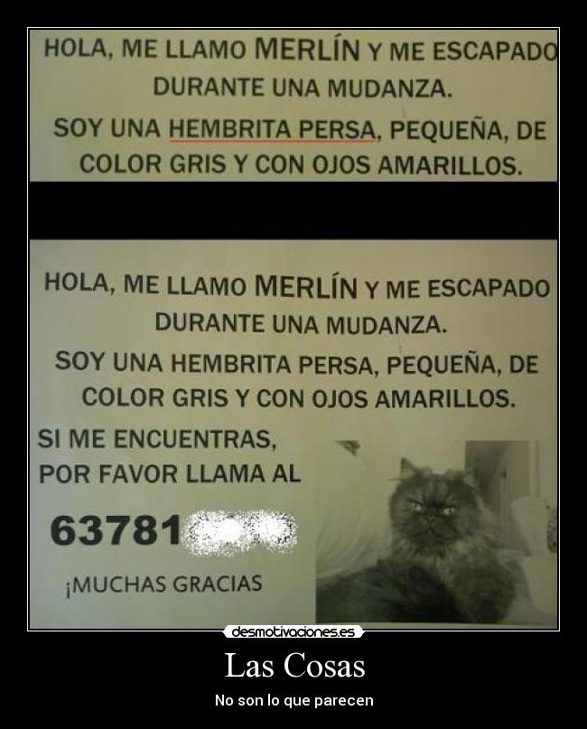 Las Cosas - No son lo que parecen