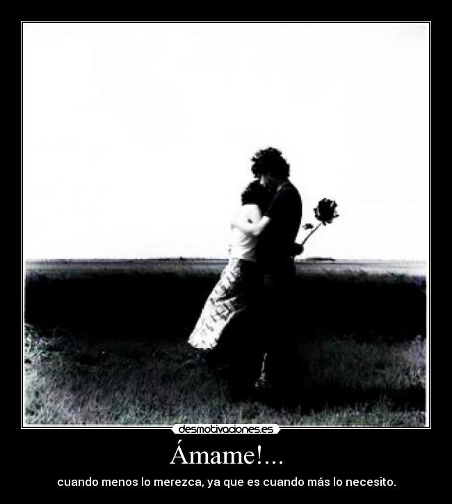 carteles amame desmotivaciones