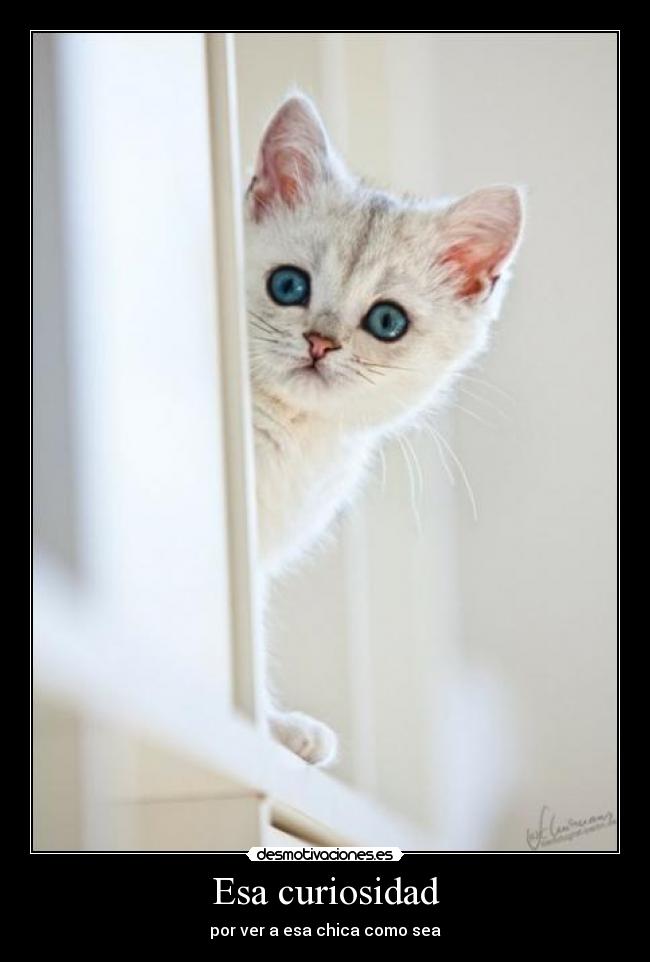 carteles toda buenorra desmotivaciones