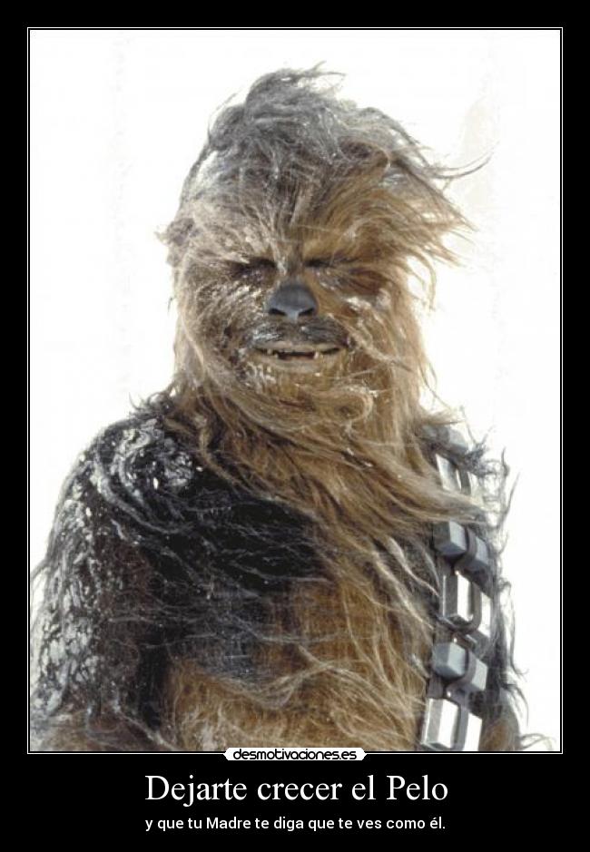 Dejarte crecer el Pelo -