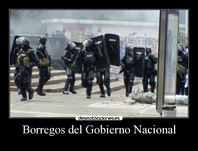 Borregos del Gobierno Nacional -