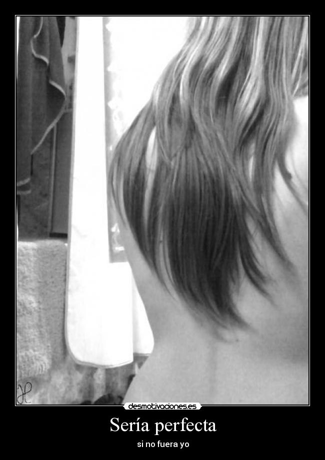 Sería perfecta -