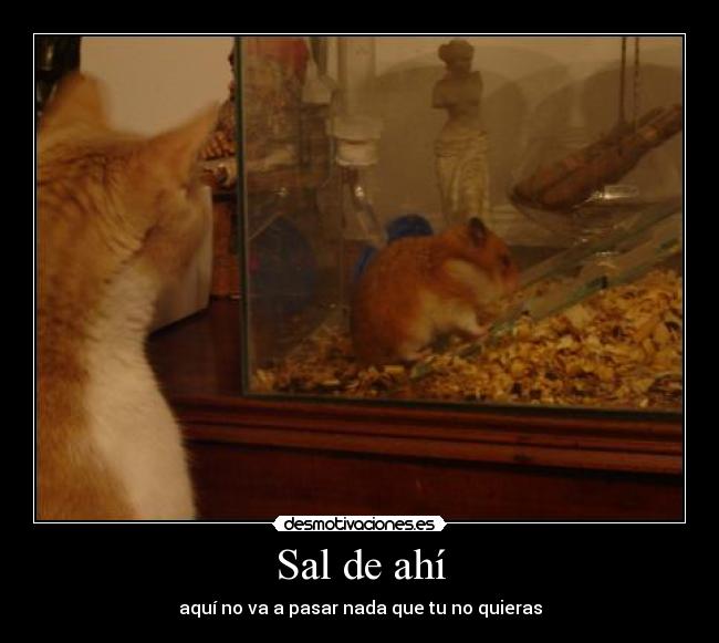 Sal de ahí - aquí no va a pasar nada que tu no quieras