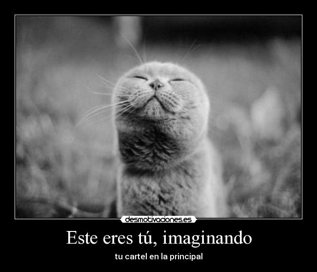 Este eres tú, imaginando -