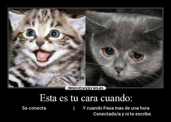 Esta es tu cara cuando: - Se conecta | Y cuando Pasa mas de una hora
Conectado/a y ni te escribe.