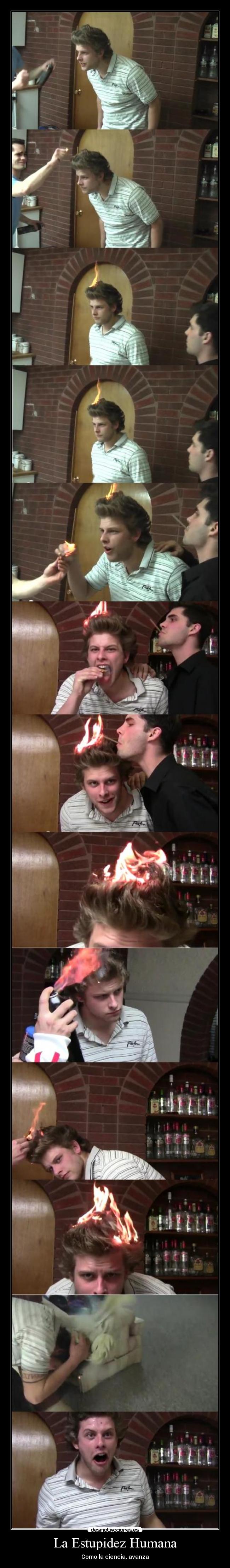 La Estupidez Humana - Como la ciencia, avanza