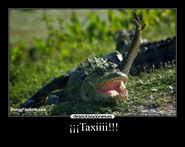 ¡¡¡Taxiiii!!! - 