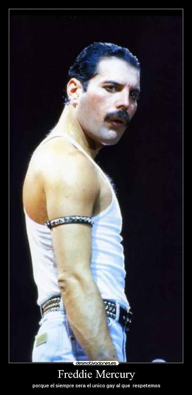Freddie Mercury - porque el siempre sera el unico gay al que respetemos