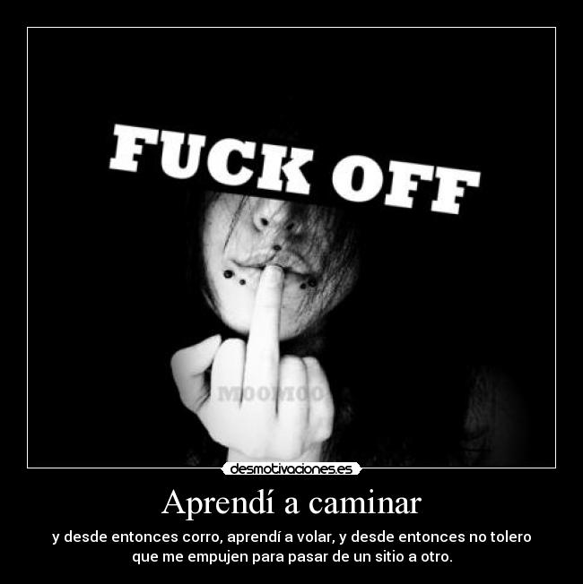 Aprendí a caminar - y desde entonces corro, aprendí a volar, y desde entonces no tolero
que me empujen para pasar de un sitio a otro.