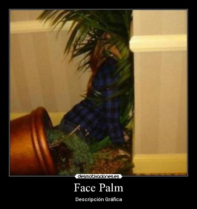 Face Palm - Descripción Gráfica