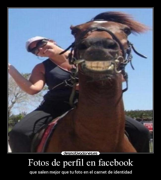 Fotos de perfil en facebook -