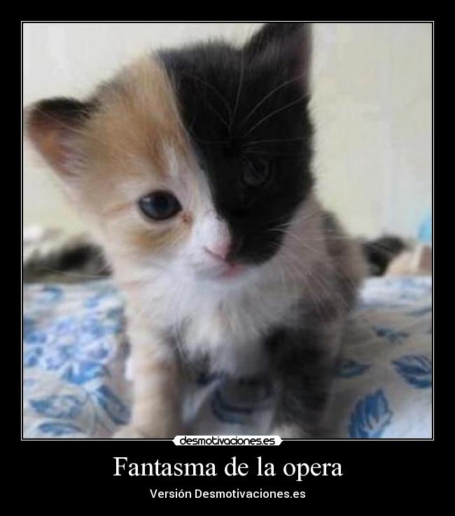 Fantasma de la opera - 