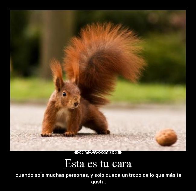 Esta es tu cara - cuando sois muchas personas, y solo queda un trozo de lo que más te gusta.