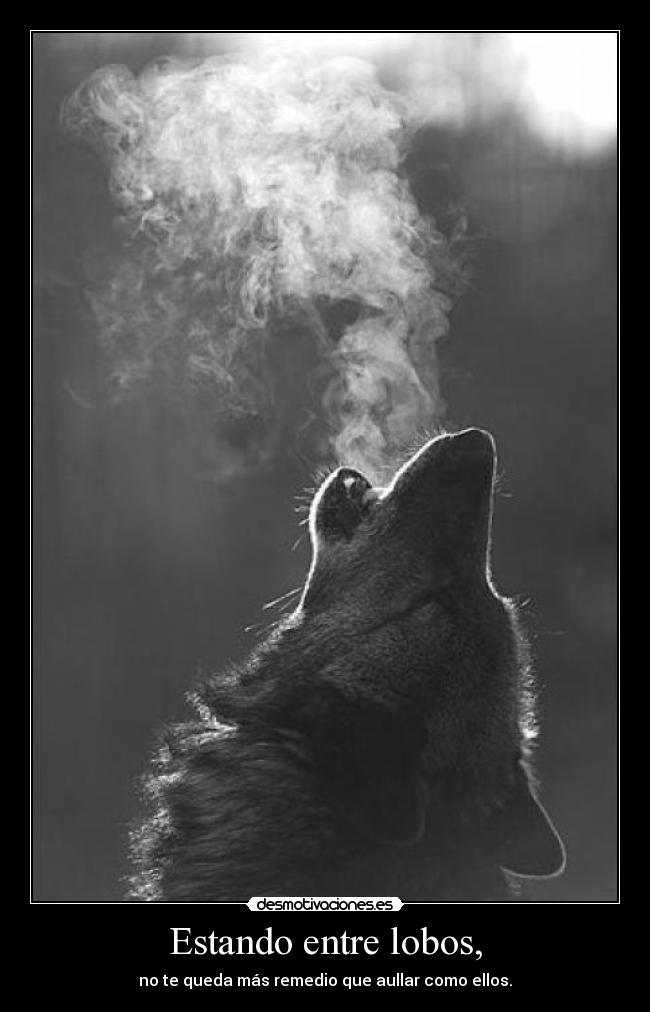Estando entre lobos, - no te queda más remedio que aullar como ellos.