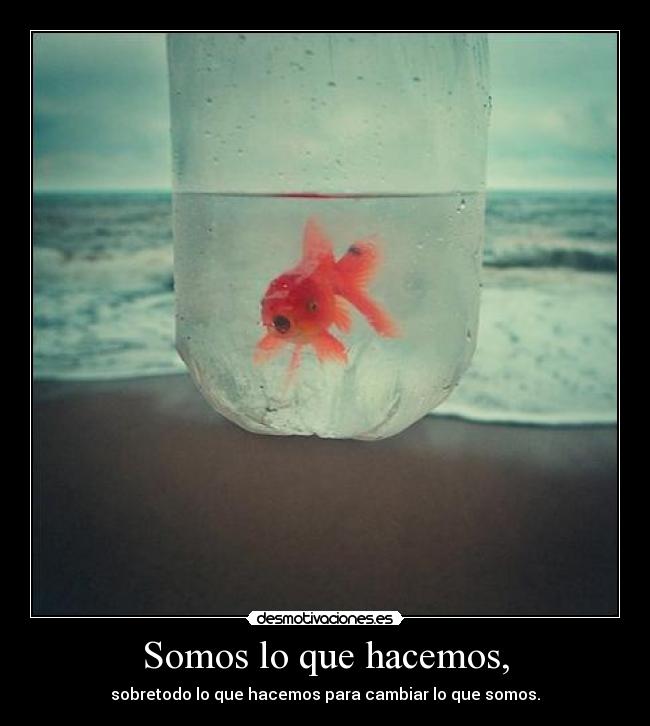 Somos lo que hacemos, - sobretodo lo que hacemos para cambiar lo que somos.