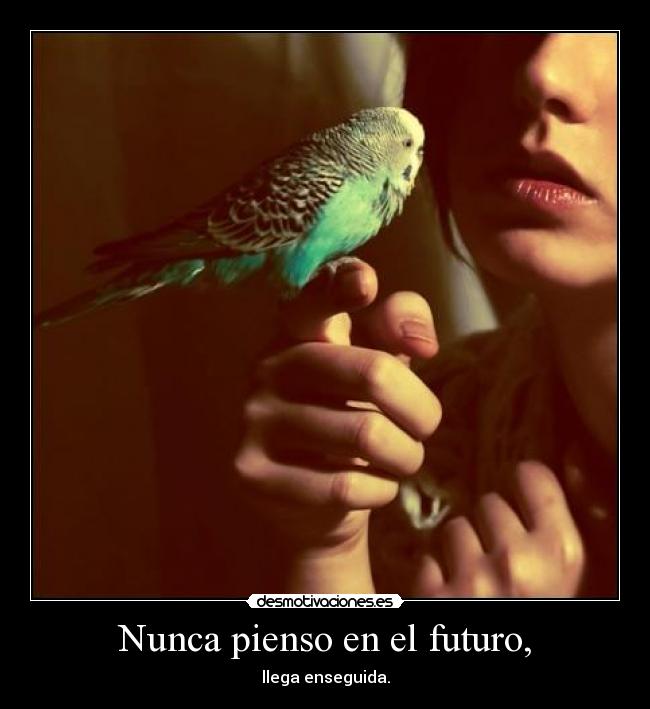 carteles ese periquito parece mio que llama perico xddd desmotivaciones