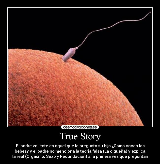 carteles sexo orgasmo fecundacion ciguena vtr12 bebes pregunta pares familia valiente real falso explicacion desmotivaciones