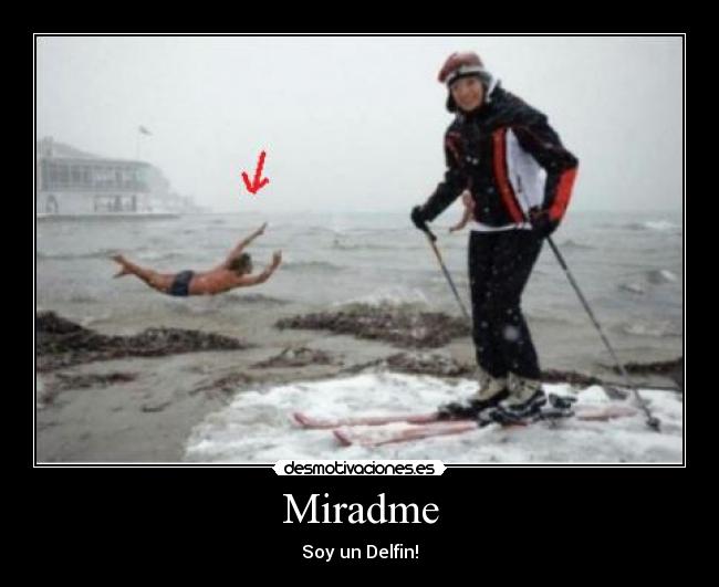 Miradme - Soy un Delfin!