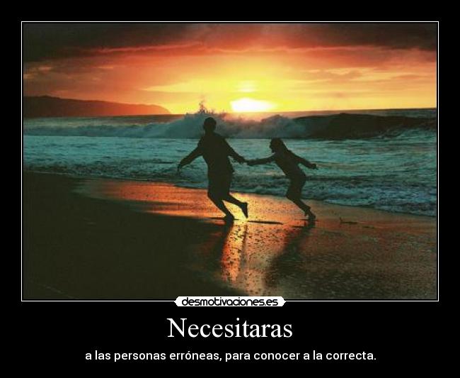 Necesitaras -