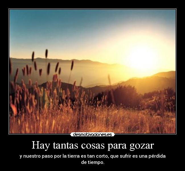 carteles feliz desmotivaciones