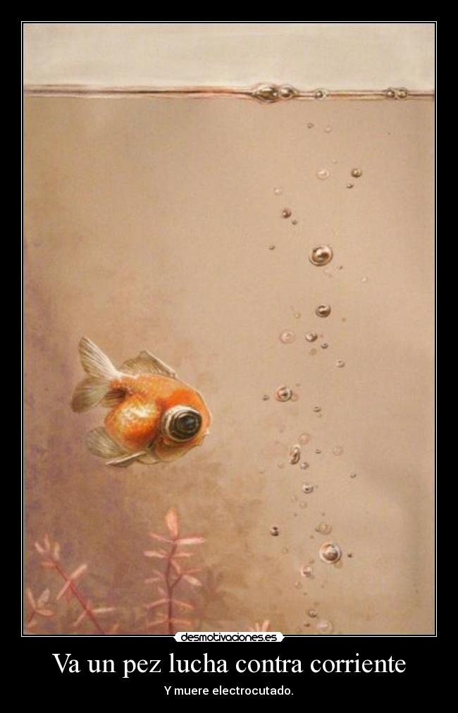 Va un pez lucha contra corriente - Y muere electrocutado.