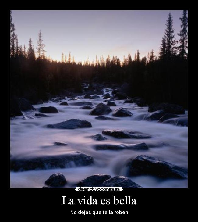 La vida es bella - 