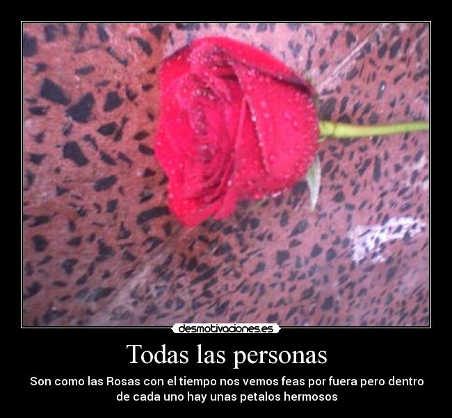 Todas las personas -