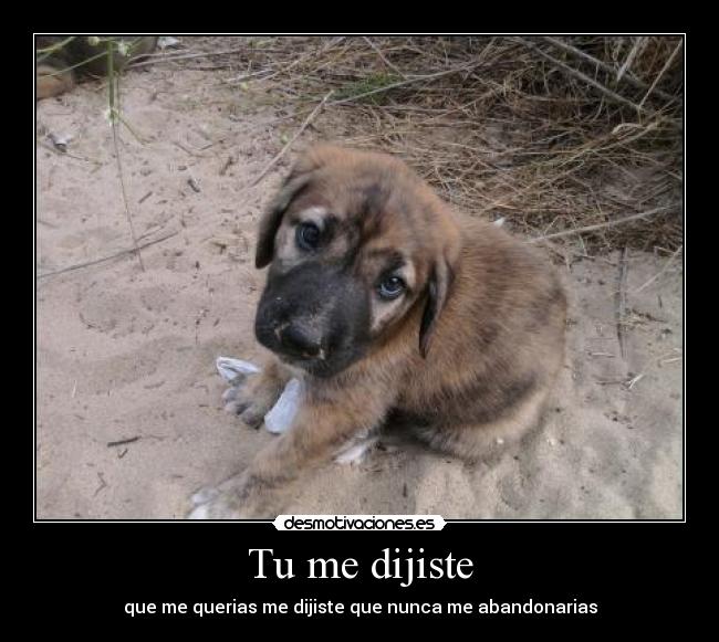 Tu me dijiste - que me querias me dijiste que nunca me abandonarias