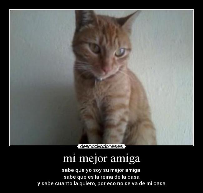 mi mejor amiga -