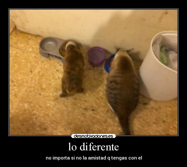 carteles ooooo desmotivaciones