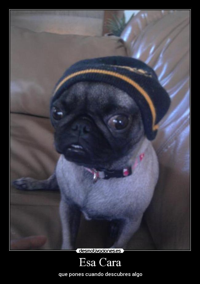 Esa Cara - que pones cuando descubres algo