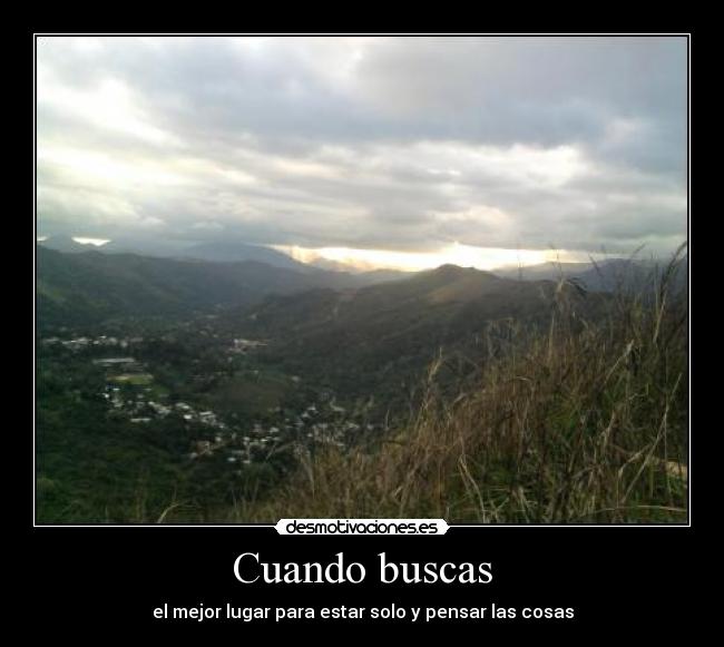 Cuando buscas - 