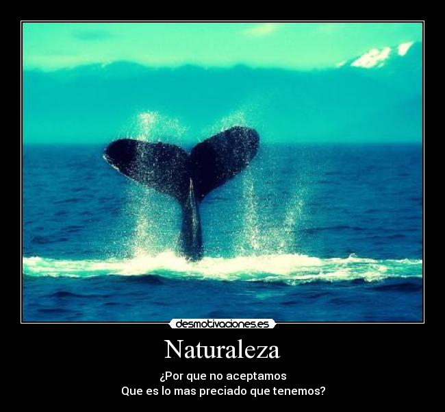 Naturaleza -