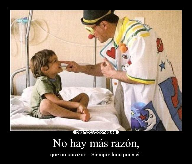 carteles fitomola cartel serio despues seis meses desmotivaciones