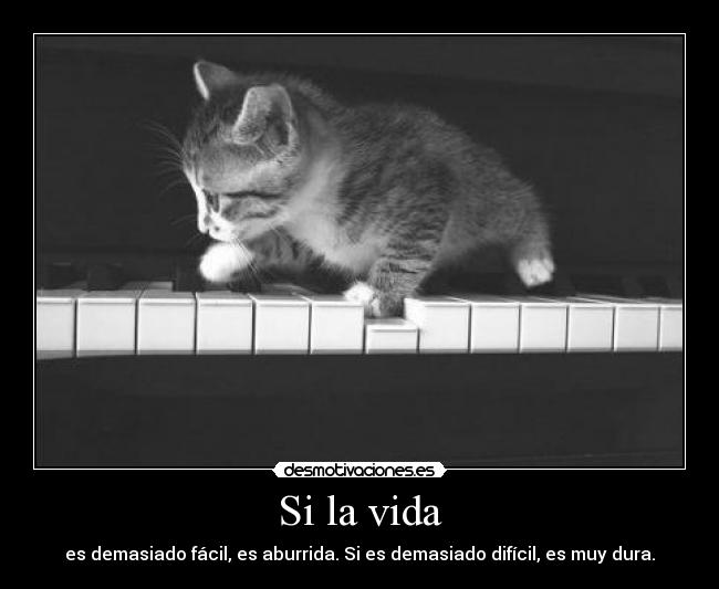 carteles vida love javuchi and antonio desmotivaciones