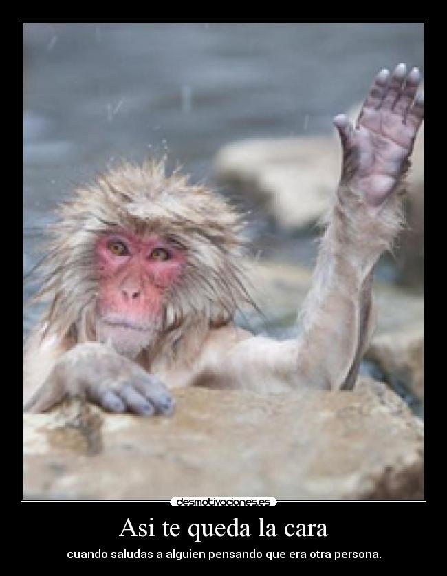 Asi te queda la cara -