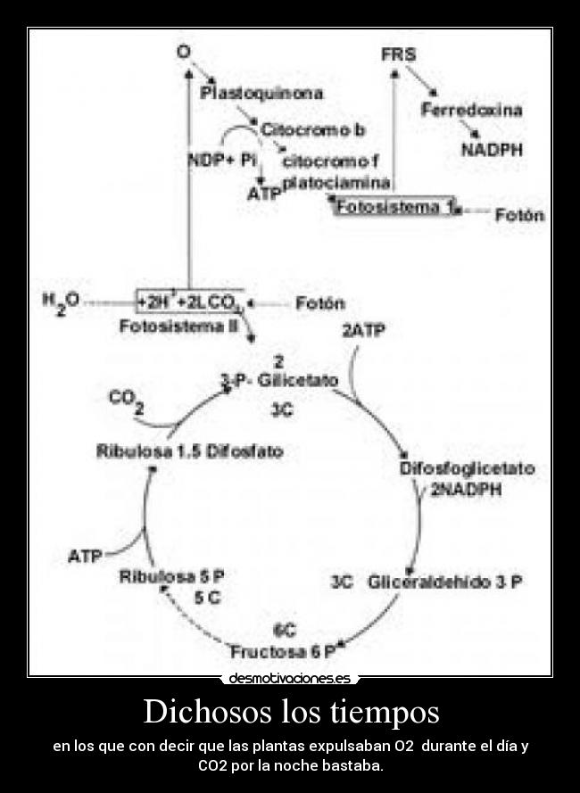 Dichosos los tiempos - 