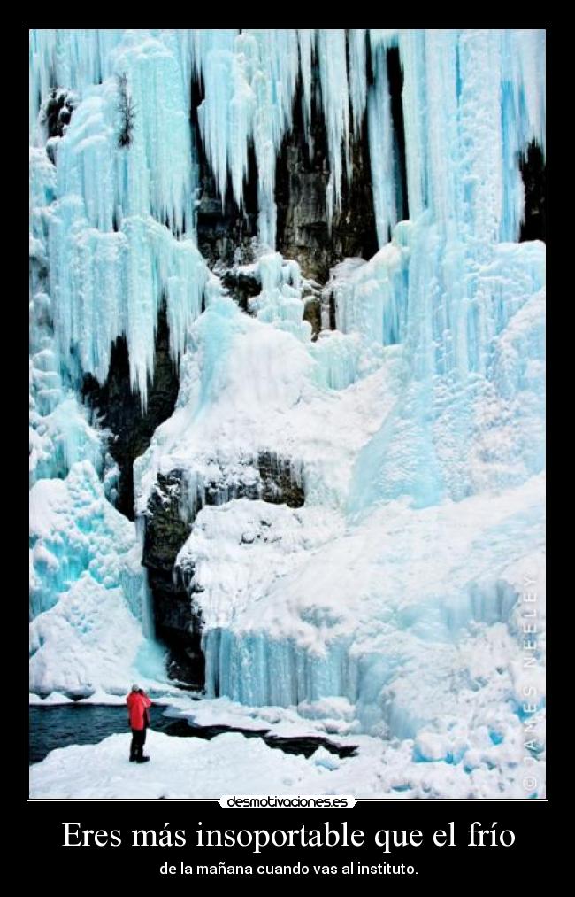 Eres más insoportable que el frío - de la mañana cuando vas al instituto.