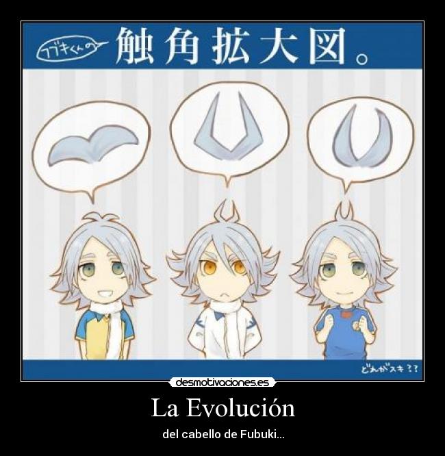 La Evolución - 