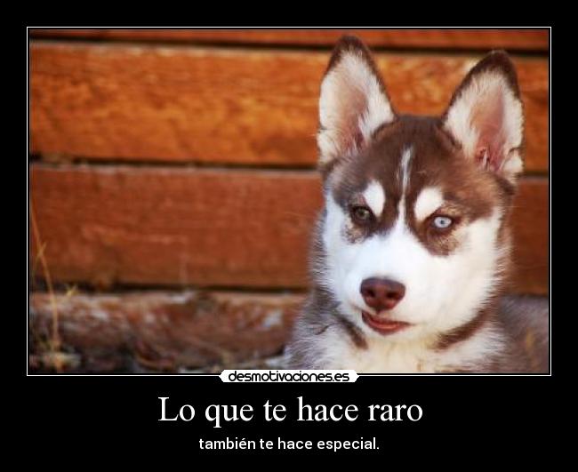 Lo que te hace raro - también te hace especial.