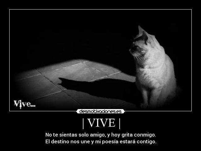 | VIVE | - No te sientas solo amigo, y hoy grita conmigo.
El destino nos une y mi poesía estará contigo.