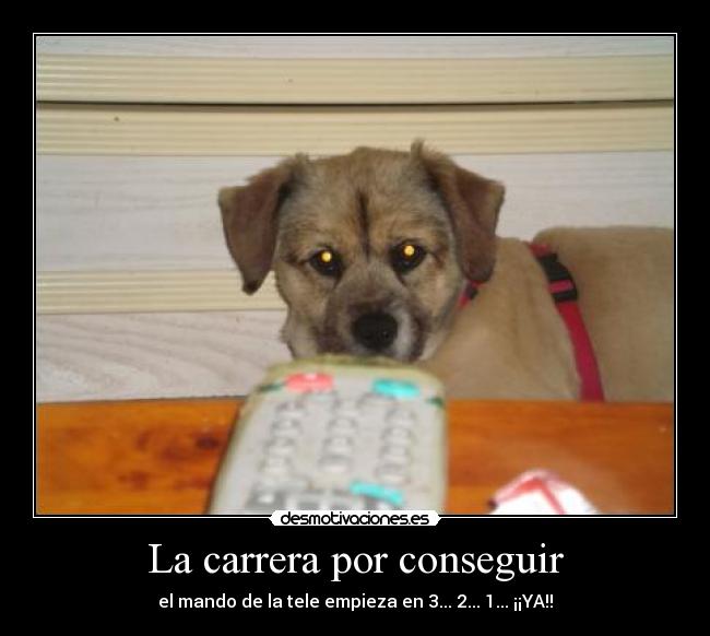 La carrera por conseguir - 