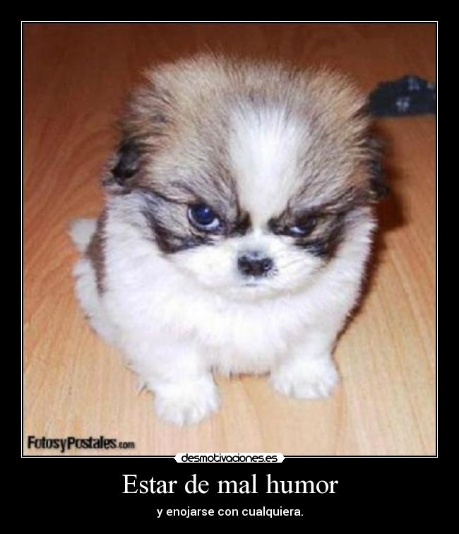 Estar de mal humor - y enojarse con cualquiera.
