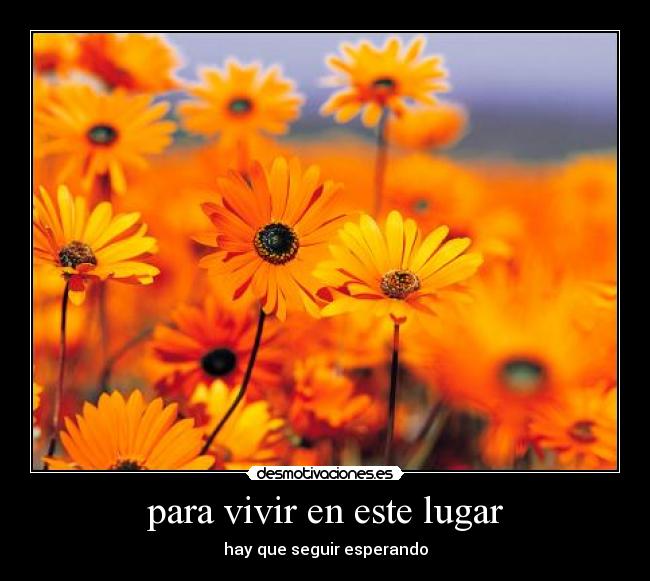 para vivir en este lugar - hay que seguir esperando