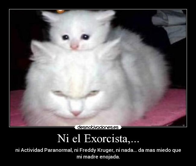 Ni el Exorcista,... - ni Actividad Paranormal, ni Freddy Kruger, ni nada... da mas miedo que
mi madre enojada.