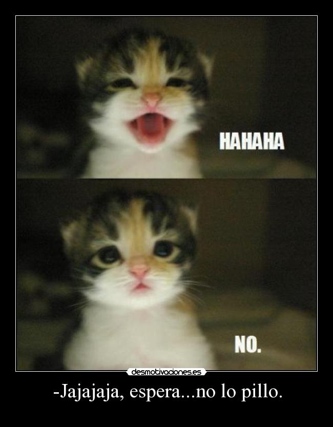 -Jajajaja, espera...no lo pillo. - 