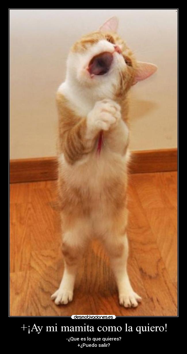 carteles una puta mierda vas salir que han quedado desmotivaciones